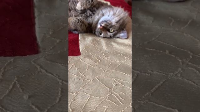 Как у самых новых машин