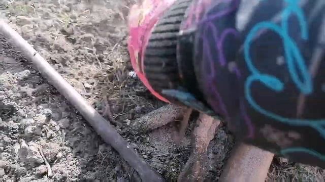 Пересадка пиона весной. смотреть онлайн