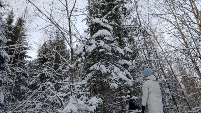 А снег идёт, А снег идёт... зимняя прогулка???❄ смотреть онлайн