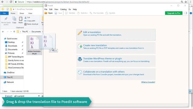 How to Update Existing Translation for Dokan Pro смотреть онлайн