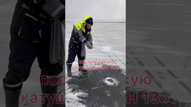 Подарю катушку «FISH 13»своему подписчику! Подробности розыгрыша в выпуске «НАПОРОЛИ СУДАКОВ» смотреть онлайн