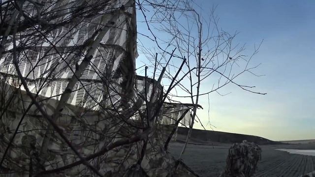 Весенняя охота на гуся и селезня 2022. Впервые за гусём.Открытие.день1 смотреть онлайн