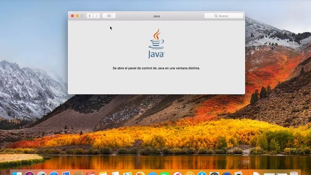Bug Java JDK 9, Netbeans 8.2 & MacOS High Sierra смотреть онлайн