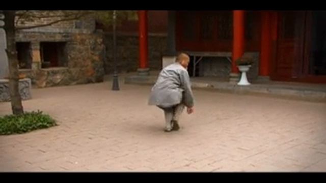 Shaolin Xiao Hong Quan.mp4
