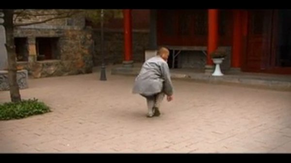 Shaolin Xiao Hong Quan.mp4