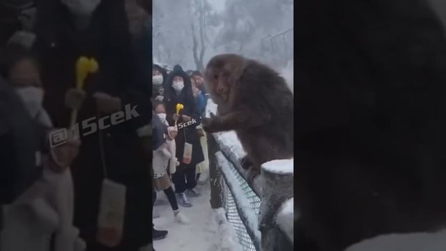 Счастье смотреть онлайн