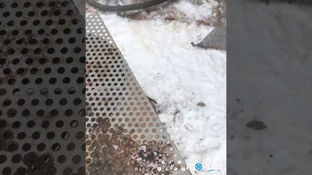 Замена дна, старого ведра.Не выбрасывайте железные ведра. Делаем дно на старое ведро. смотреть онлайн