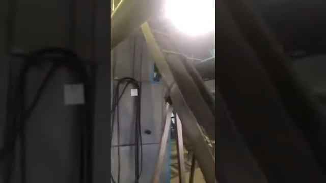 как делают оливковое масло смотреть онлайн