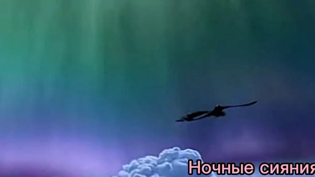 Беззубик и дневная фурия клип- Волшебный мир (заказ) смотреть онлайн