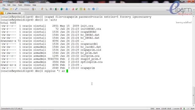Oracle password file creation and usage | manage password file in oracle смотреть онлайн