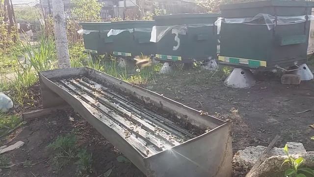Лучшее успокоительное в мире - чистый дзен смотреть онлайн