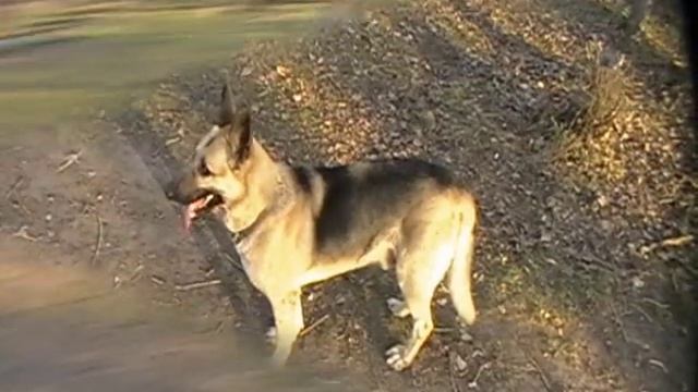 ОКД. о. Татышев смотреть онлайн