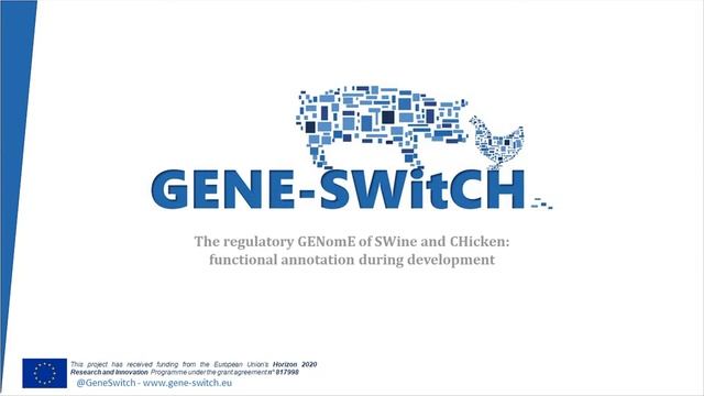 GENE-SWitCH Final Conference - 7 November - Day two смотреть онлайн