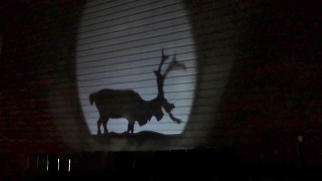 Animated reindeer installed outside смотреть онлайн