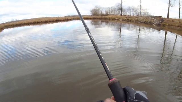 ЗДЕСЬ ТАКАЯ РЫБА, ЧТО БЕЗ ТРУСОВ В ВОДУ НЕ ЗАЙТИ. разрушители легенд смотреть онлайн