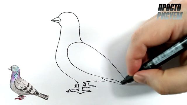 Как нарисовать ГОЛУБЯ смотреть онлайн