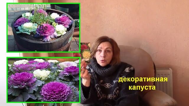 Семена и февраль. Какие семена сажаем на рассаду?! Мой опыт. смотреть онлайн