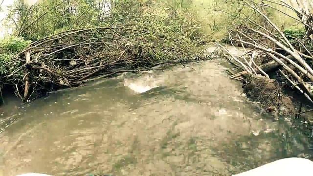 Сплав по реке Сетунь смотреть онлайн