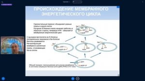 Михаил Никитин. Лекция 11. Происхождение клеточных мембран и мембранных энергетических систем.