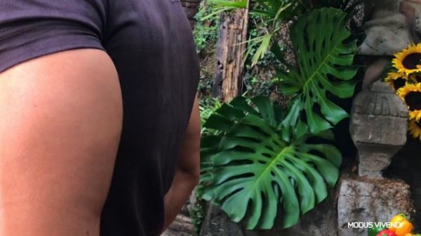 MODUS VIVENDI Campaign ~ MV Suede Line by Gastohn Barrios