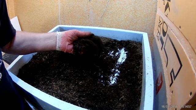 Подробно о моей системе комбинированного кормления. смотреть онлайн