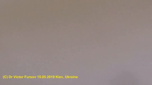 В Чем Особенности Строения Медоносной Пчелы? смотреть онлайн