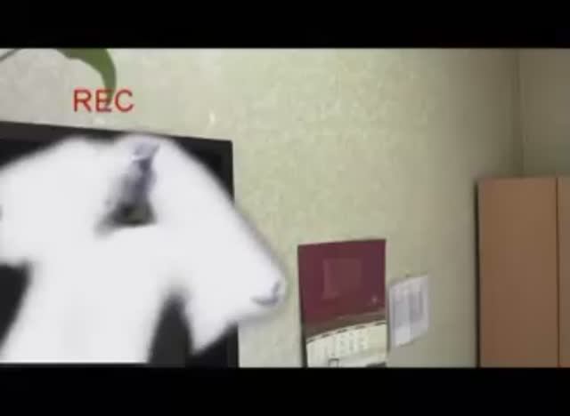 Отель мертвецов. Трейлер (2013) смотреть онлайн