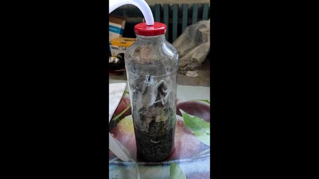 Генератор водорода смотреть онлайн