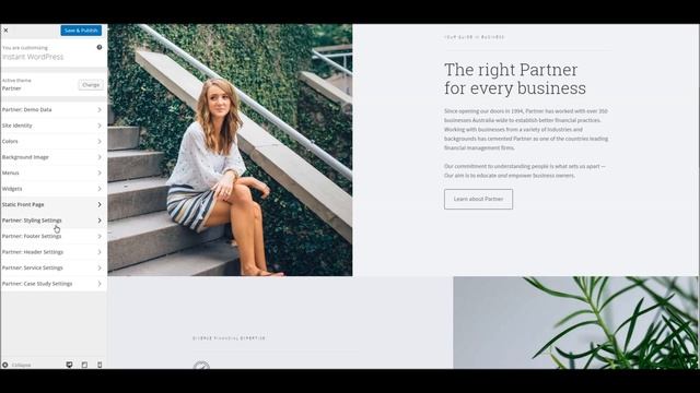 Partner WordPress Theme - Theme Options Overview смотреть онлайн