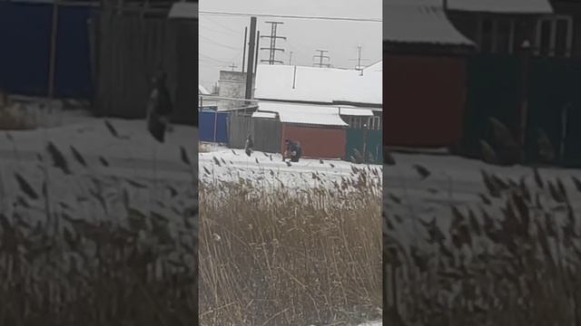 Самые крутые сальто, даже я так не умею!))))