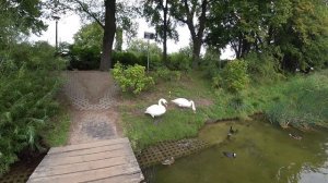 ВЛОГ /Наслаждаюсь одиночеством /Обычный день из жизни