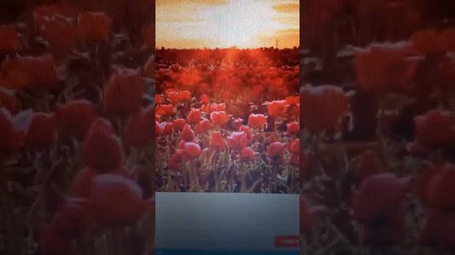 001 Спроси себя откуда ты? Откуда всё, что тебя окружает? смотреть онлайн