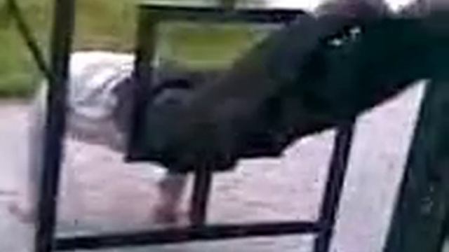 Сквозь дверь смотреть онлайн