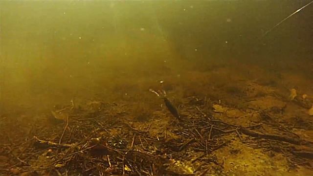 NEW Season- BIG BASS CRASH!- Extreme Angler TV смотреть онлайн