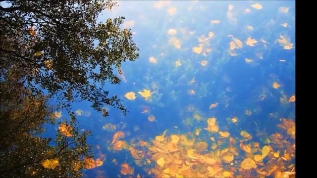 ВНУЧКИНА ПЕСНЯ ОСЕНЬ смотреть онлайн