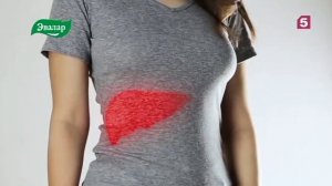 Рекламные ролики Эвалар (август 2023): Изжогофф и Хофицин