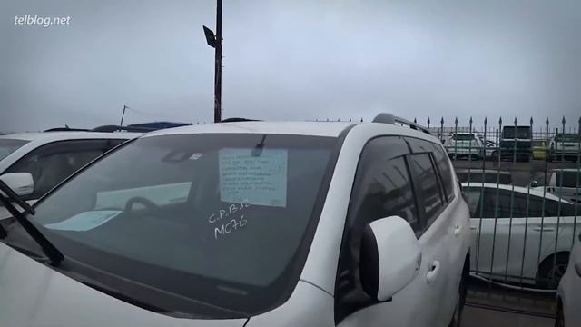 РАЗВОДИЛЫ на Авторынке! Как Кидают Перекупы? смотреть онлайн