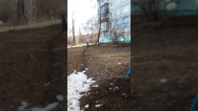 Мой друг разбил машину смотреть онлайн