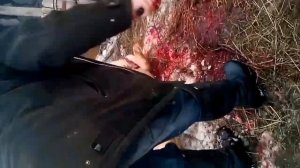 Режут свинью