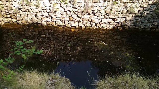 VID_20230620_092708.mp4 смотреть онлайн