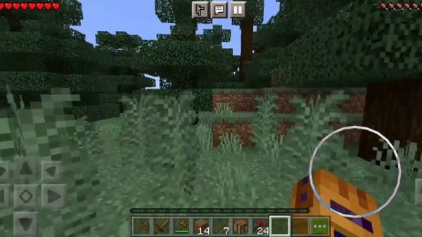 Как приручить лису в майнкрафт