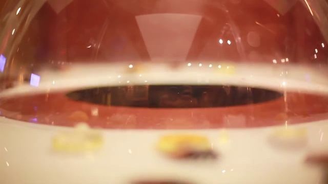 Музей Рипли "Верьте или Нет" | HD | Ripley's Believe It Or Not Museum смотреть онлайн