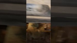 Как снять стартер на Инфинити ех35, задний привод, 2008 год