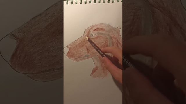 Такса. Dachshund #тренды #shortsclip #animals #art смотреть онлайн