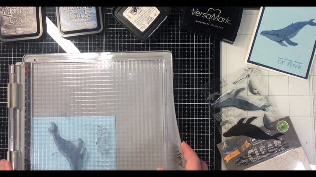 Blue Whale Colour Layering Stamped Card