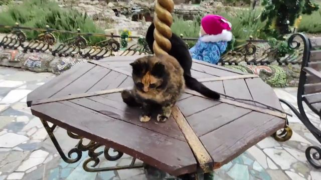 Лабиринты Лукоморья! смотреть онлайн