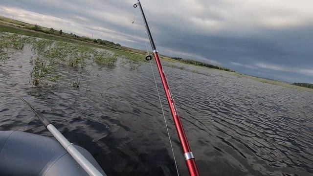 РЫБАЛКА НА ЩУКУ.БЛЕСНА И ЖИВЕЦ.