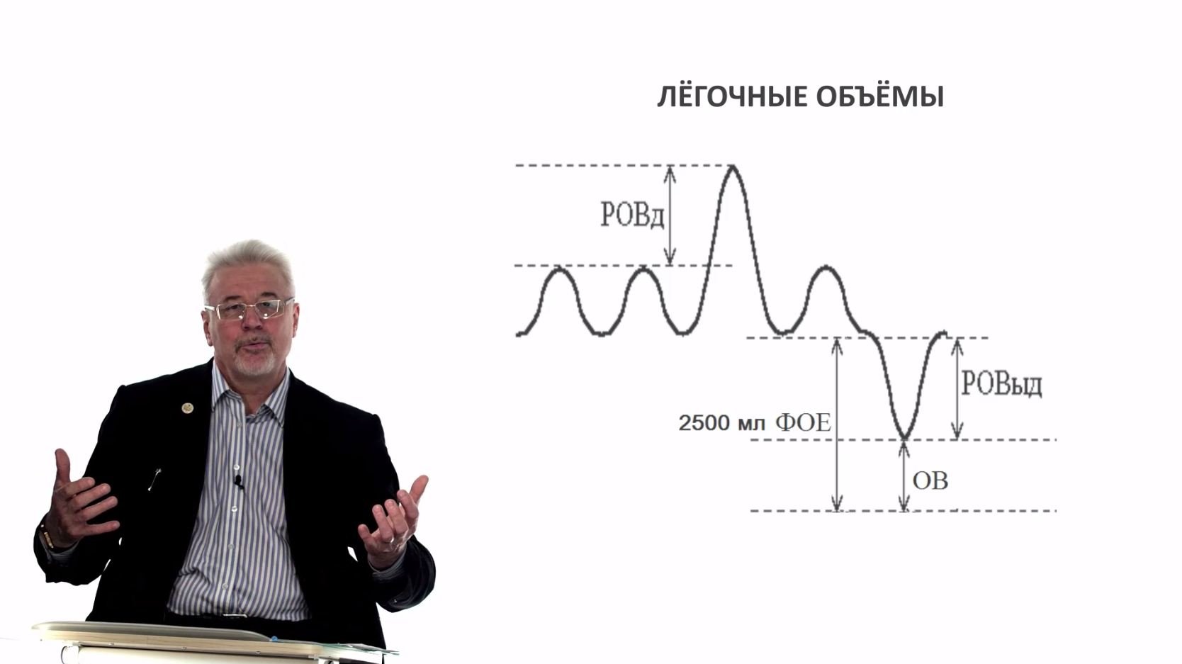 Евсеев А.В. Нормальная физиология. Лекция №21. Внешнее дыхание. Сурфактант. Лёгочные объёмы. 2024