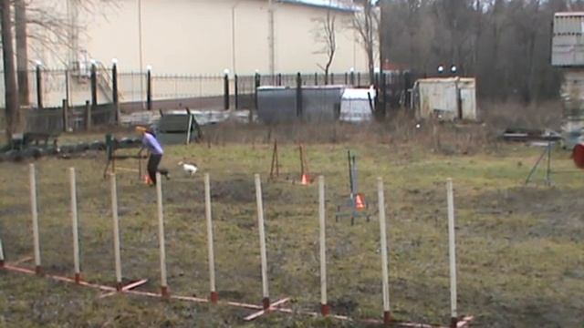 Belka1/05/14 jumping смотреть онлайн