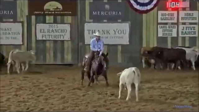 Состязание Американских ковбоев. Довольно интересно. смотреть онлайн